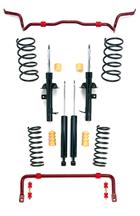 Mustang Eibach Pro-System Plus (07-12) 5.4 L