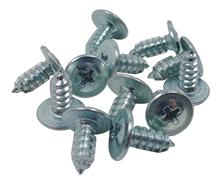 1979-93 Mustang Inner Door Belt Weatherstrip Screws