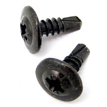 Mustang Roof Rail Molding Screws (79-93)