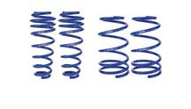 Mustang Roush Extreme Lowering Spring Kit (05-14)